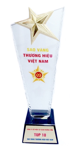 Tập đoàn Trường Tiền: xuất sắc được vinh danh Top 10 Sao vàng Thương hiệu Việt Nam 
